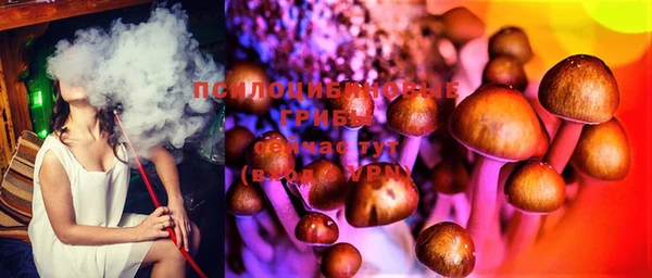 прущая мука Алексин