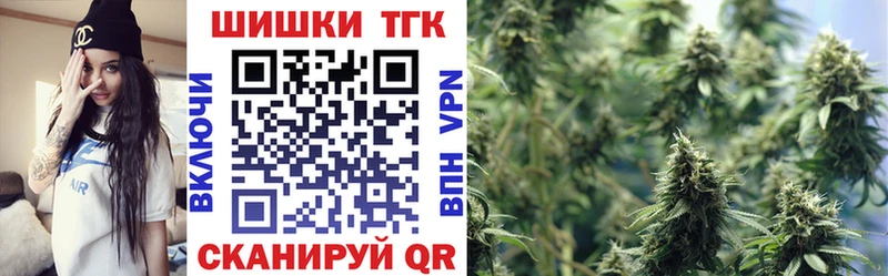 наркотики  Звенигово  Каннабис индика 